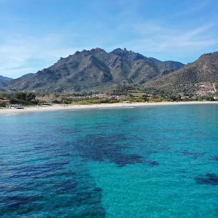 Rosa * Tertenìa